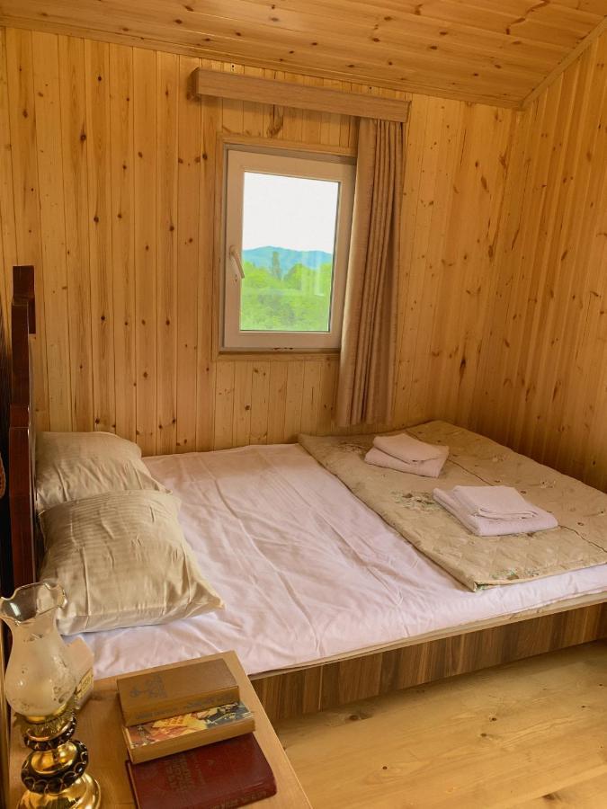 Hotel Okatsia Სასტუმრო Ოკაცია Gordi 外观 照片