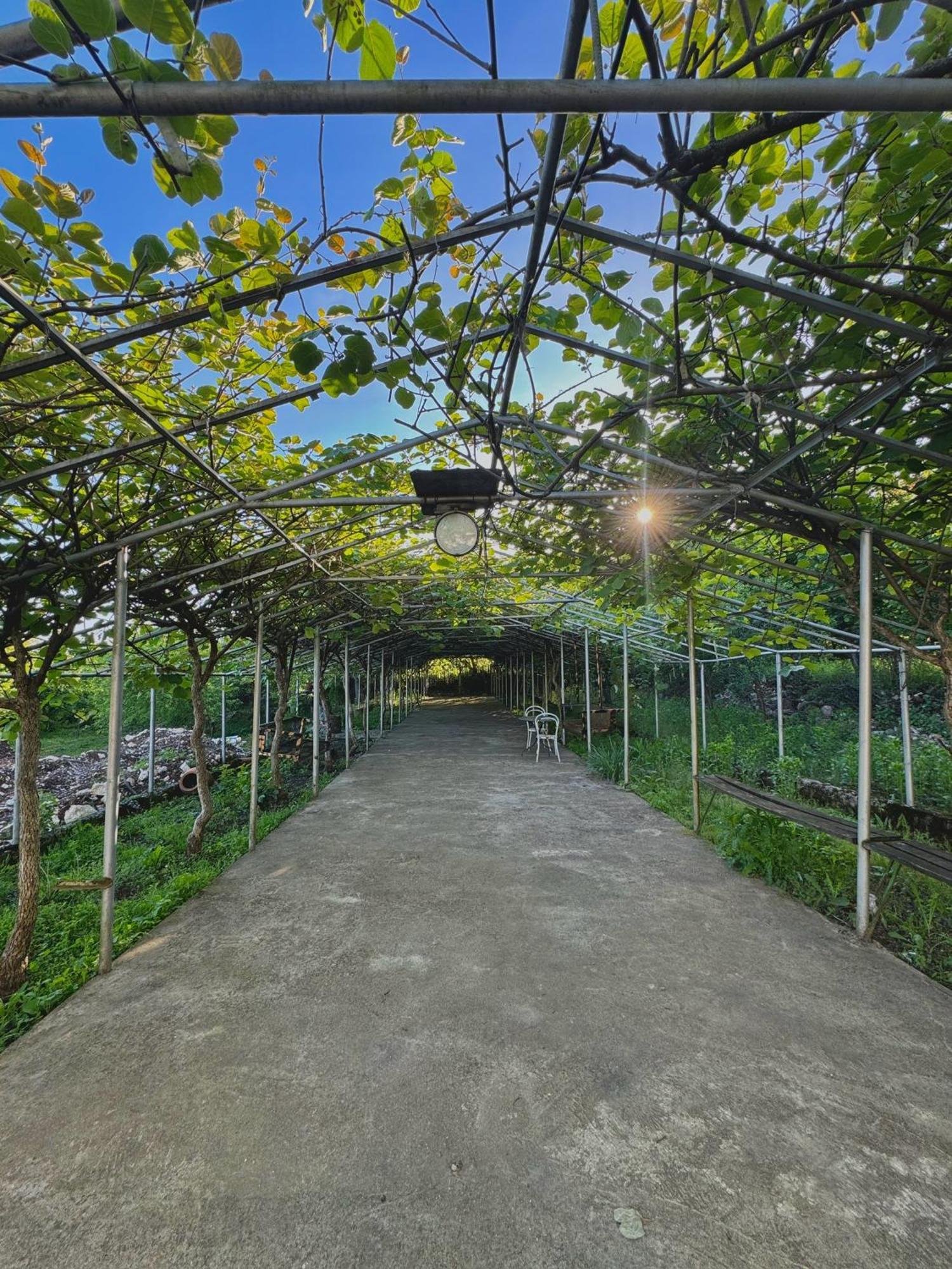 Hotel Okatsia Სასტუმრო Ოკაცია Gordi 外观 照片
